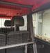 Mercedes-Benz G500/G55/G63/G350/G550 W463 W464 ізоляційна сітка багажника для собак та хатніх тварин S-1 фото 4